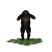 chimpanzee isolated 3d png