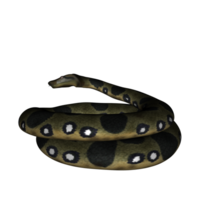 serpiente aislado 3d png