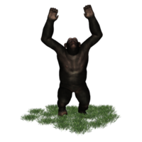 chimpanzé isolado 3d png