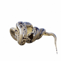 serpente isolato 3d png