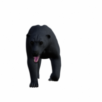 polaire ours isolé 3d png