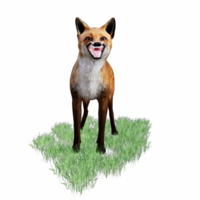 Raposa animal 3d png