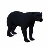 polaire ours isolé 3d png