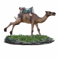 kamel isolerat 3d png