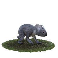 koala isolato 3d png