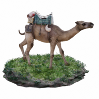 Camel isolated 3d png