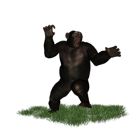 Schimpanse isoliert 3d png