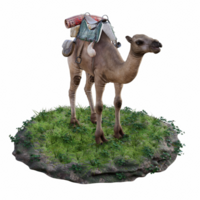 kamel isolerat 3d png
