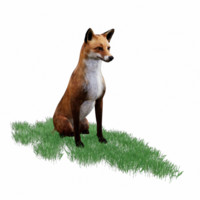 Renard animal 3d png