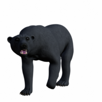 polare orso isolato 3d png