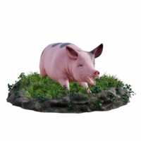 Schwein isoliert 3d png