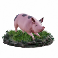 Schwein isoliert 3d png