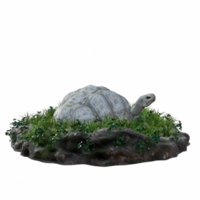 Turtle isolated 3d png