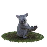 Koala isolated 3d png