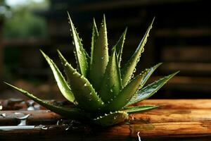 Fresh aloe with wooden backdrop AI Generated photo