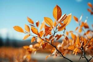 vibrante otoño hojas en contra un claro azul cielo, pintoresco paisaje ai generado foto