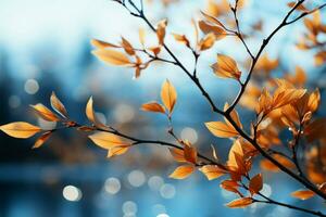 Serene autumn landscape, tree leaves dance against the blue sky AI Generated photo