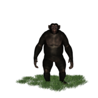 Schimpanse isoliert 3d png