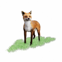 zorro animal 3d png