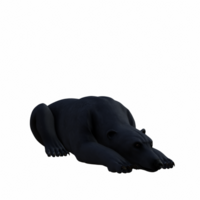 polaire ours isolé 3d png