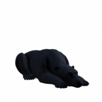 polare orso isolato 3d png