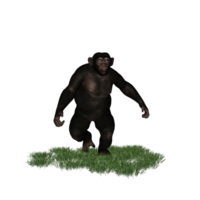 Schimpanse isoliert 3d png