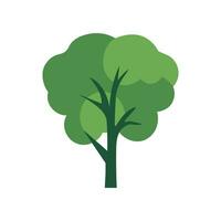 Green Tree Flat Picture. Suitable for infographics, books, banners and other designs vector