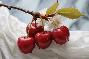 Minimalist charm cherries on a white canvas with soft shading AI Generated photo