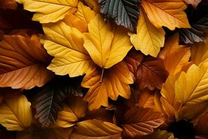 Seasonal splendor autumn leaves background AI Generated photo