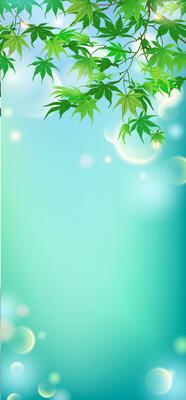 Vertical illustration, summer branches hanging from above with green leaves on a white background. Japanese maple in the cartoon style. Vector. Spring background.