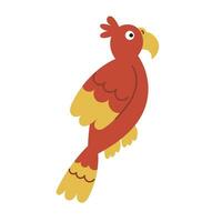 Red parrot, macaw. Pirate parrot, talking exotic bird. Hand drawn cartoon vector illustration isolated on white background