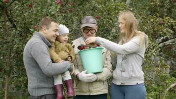 familie uit verzamelen appels in de boomgaard video