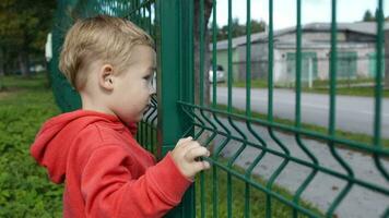 Little boy peering through a wire fence video