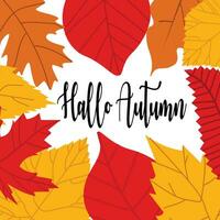 hallo autumn background vector