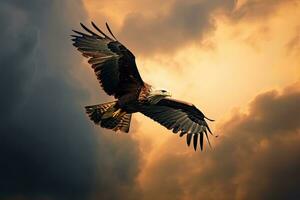 americano calvo águila volador en el nubes a puesta de sol. águila. generativo ai foto