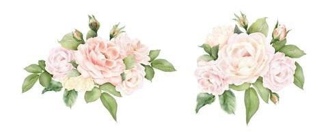 Set of rose bouquet decorative watercolor vector