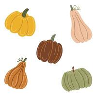 Pumpkins. Hand drawing. Set of elements. Vector illustration