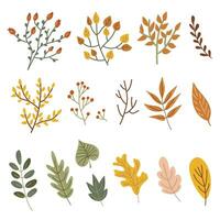 Leaves and twigs autumn. Hand drawing. Set of elements. Vector illustration