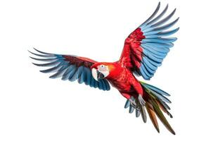 A Scarlet macaw parrot flying isolated on white background. Generate Ai photo