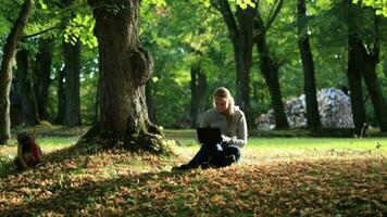 Young woman with laptop in the park video