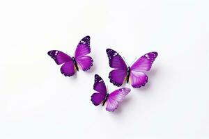 Soaring purple butterflies isolated on white background. Butterfly. Generative Ai photo