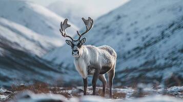 A reindeer  in winter on a background of the mountains. Generative Ai photo