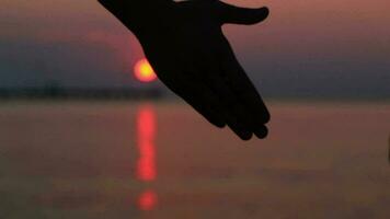 paar hand in hand bij zonsondergang video
