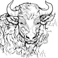 Adult coloring page of a bull vector