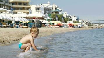 wenig Junge beim ein Strand Resort video