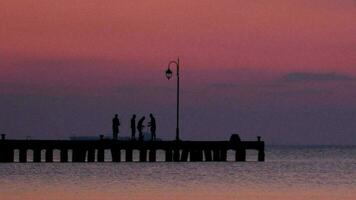 mensen Aan een pier Bij zonsondergang video