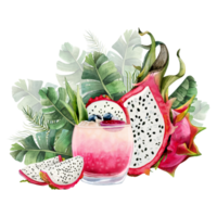 Dragon fruits, summer pink cocktail lemonade with pitaya slices and green palm leaves watercolor illustration. Fresh tropical exotic drink clipart png