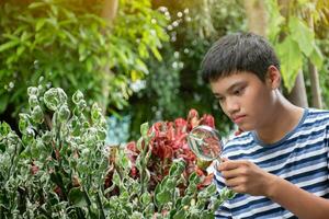 Young asian boy holds magnifying glass, looking through zoom lens to study pattern of houseplants and tiny insects which lived and crawled on plants during his free times, soft and selective focus. photo