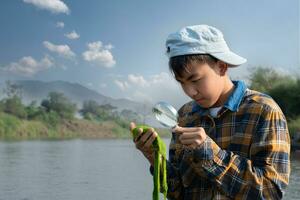 Asian boy holds magnifying glass  and looking at fresh green freshwater algae through the zoom lens of a magnifying glass. concept for nature learning and study of the effect of climate change. photo
