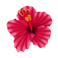 Red Flower Pods png